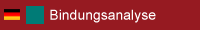 Bindungsanalyse